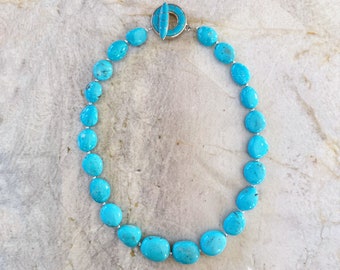 Robin's Egg Blue Nacozari Turquoise Beaded Necklace with Sleeping Beauty Turquoise Inlay Toggle Clasp - One of a Kind