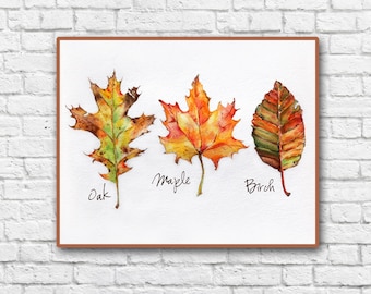 Watercolor Fall Leaves- Botanical prints