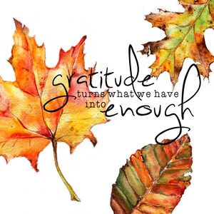 May include: Watercolor painting of autumn leaves with the quote "Gratitude turns what we have into enough".