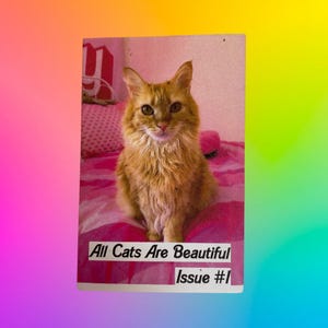 all cats are beautiful #1 zine: a cat photography mini zine