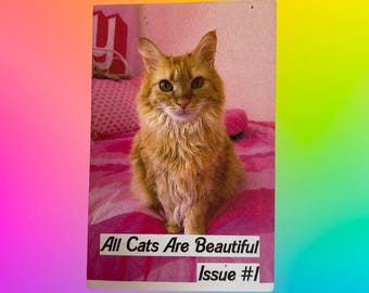 all cats are beautiful #1 zine: a cat photography mini zine