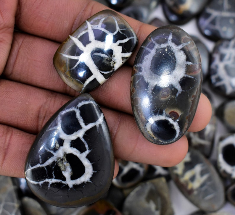 May include: Three polished black and white gemstone cabochons with a unique, intricate pattern. The cabochons are oval, rectangular, and teardrop shaped.