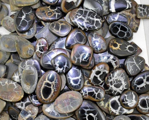 5000ct 120-130pcs Dragon stone Cabs Black Septarian Cabochon Wholesale Spider Web Design Septarian Cabochon Loose Gemstone for Jewelry V82-6
