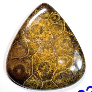 Natural Moroccan Fossil Coral Cabochon Designer Coral Fossilized Flatback Gemstone Smooth Polished Semi Precious Healing Stone R2385-R2394