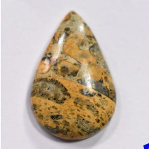 May include: A teardrop-shaped cabochon of brown, yellow, and gray leopard skin jasper. The stone has a polished surface and a unique pattern.