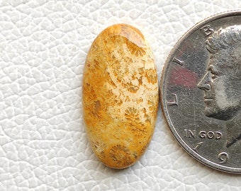 Fossil coral cabochon 27X14X4 MM Oval shape natural brown fossil coral cabochon flower design fossil coral gemstone for jewelry R11821