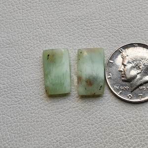 May include: Two rectangular green and white stones with brown flecks. The stones are approximately the size of a UK ten pence coin.