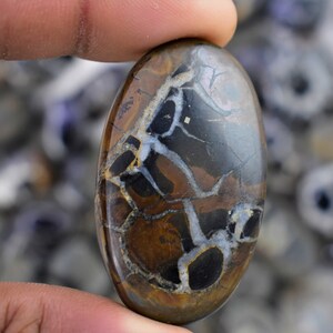 May include: A cabochon cut, oval shaped, polished stone with a brown, black, and white pattern. The stone has a natural, organic look.