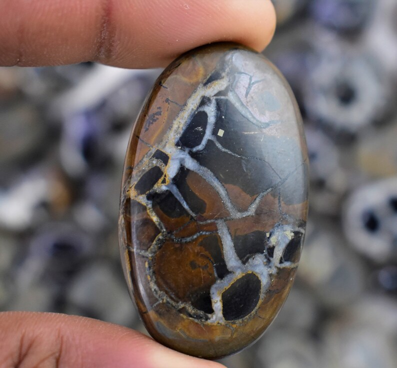 May include: A cabochon cut, oval shaped, polished stone with a brown, black, and white pattern. The stone has a natural, organic look.