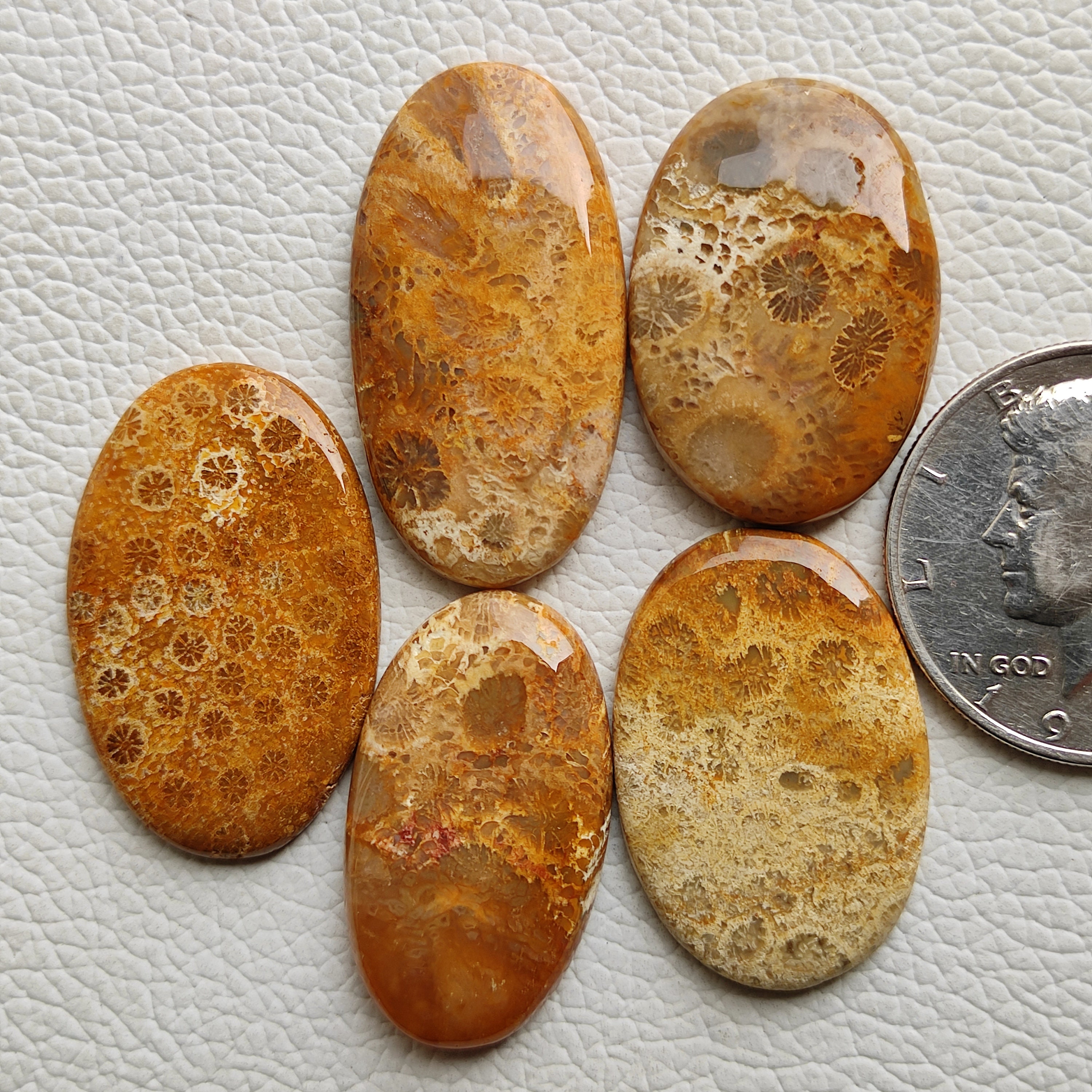 Fossil Coral Cabochon 150 Carat 5pcs Oval Shape Natural