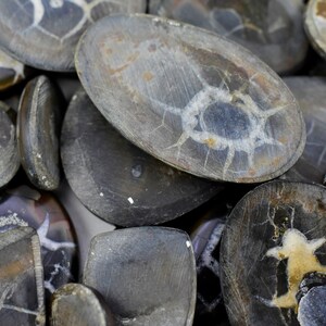 May include: A close-up of a pile of polished, gray and white, agate stones. The stones have a variety of shapes and sizes, and some have a distinctive, circular pattern.