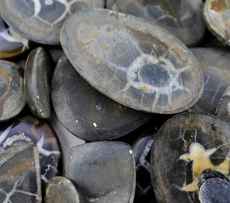 May include: A close-up of a pile of polished, gray and white, agate stones. The stones have a variety of shapes and sizes, and some have a distinctive, circular pattern.