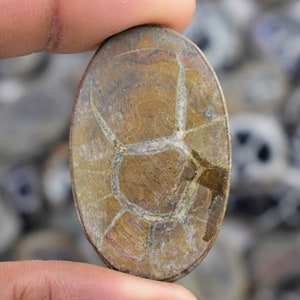 May include: A brown and white oval-shaped geode with a natural crystal formation. The geode has a rough, textured surface and is approximately 2 inches in length.