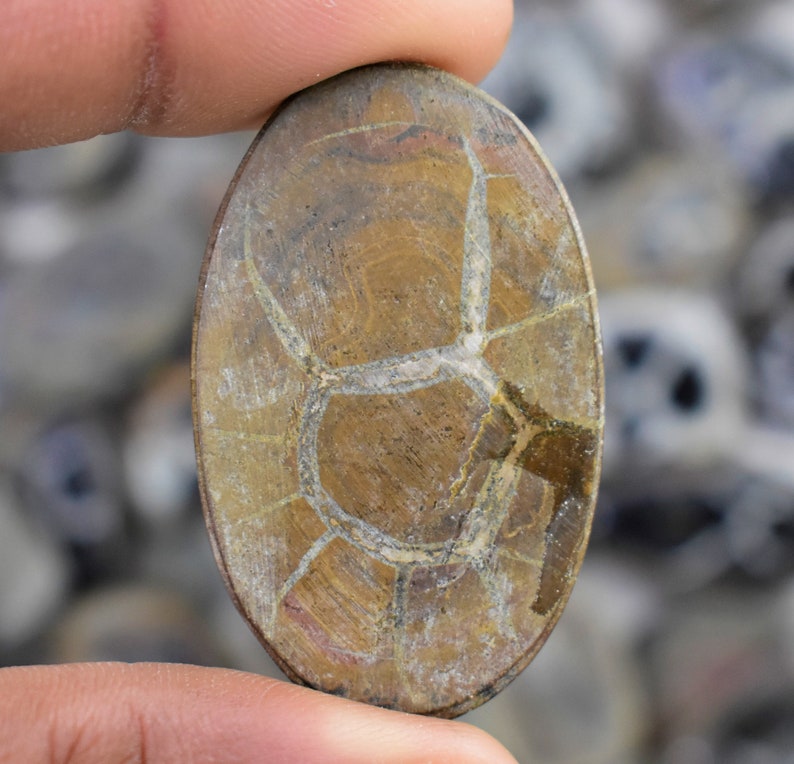 May include: A brown and white oval-shaped geode with a natural crystal formation. The geode has a rough, textured surface and is approximately 2 inches in length.