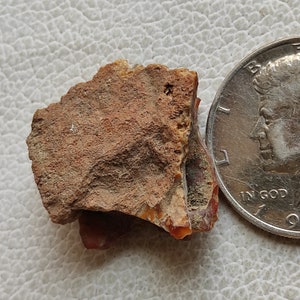 May include: A close-up of a small, irregularly shaped piece of red agate. The agate has a rough, textured surface and is about the size of a U.S. half dollar.