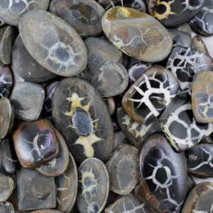 May include: A collection of polished, oval-shaped, and square-shaped, black and white, agate gemstone cabochons. The cabochons have a unique, dendritic pattern.