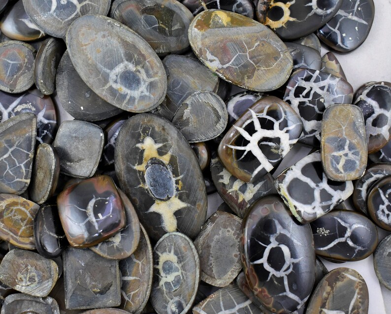 May include: A collection of polished, oval-shaped, and square-shaped, black and white, agate gemstone cabochons. The cabochons have a unique, dendritic pattern.