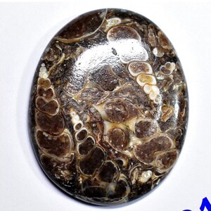 Natural Turritella Fossil Cabochon Brownish Agate Turritella Stone Handmade Smooth Polished Turritella Elimia Tenera Gemstone R2147-R2156