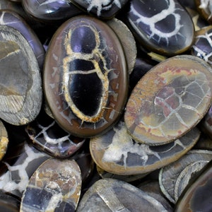 May include: A collection of oval-shaped, polished, brown and black agate stones with white and gray patterns. The stones have a smooth, glossy finish.