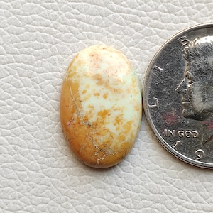 Natural yellow lemon chrysoprase flatback cabochon rare lemon chrysoprase healing mineral stone highly polished gemstone for jewelry R10934
