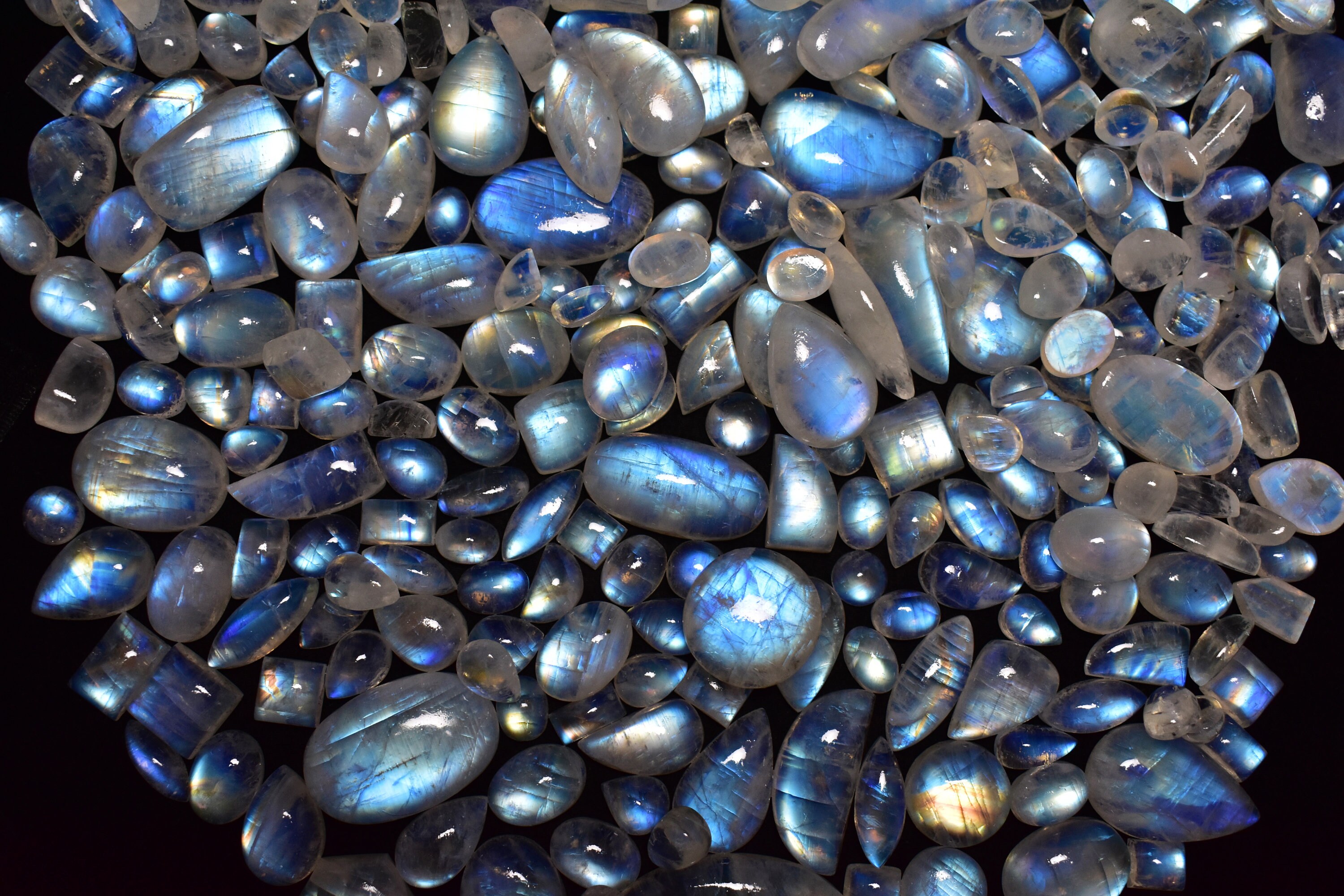 Unique Wholesale Moonstone 200pc Lot Rare Collection AAA+ Dark Blue ring size Gems 820 gram Chatoyant Rainbow moonstone cabochon jewelry 752
