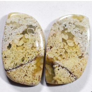 Mexican Crazy Lace Agate Gemstone For Earring Jewelry Designer Pair Crazy Lace Agate Cabochon Wholesale Price Loose Gemstone R2693-R2702