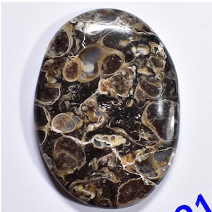 Wholesale Price Elimia Tenera Stone Brownish Turritella Fossil Snails Cabochon Design Shell Smooth Polished Gemstone For Jewelry R2167-R2176
