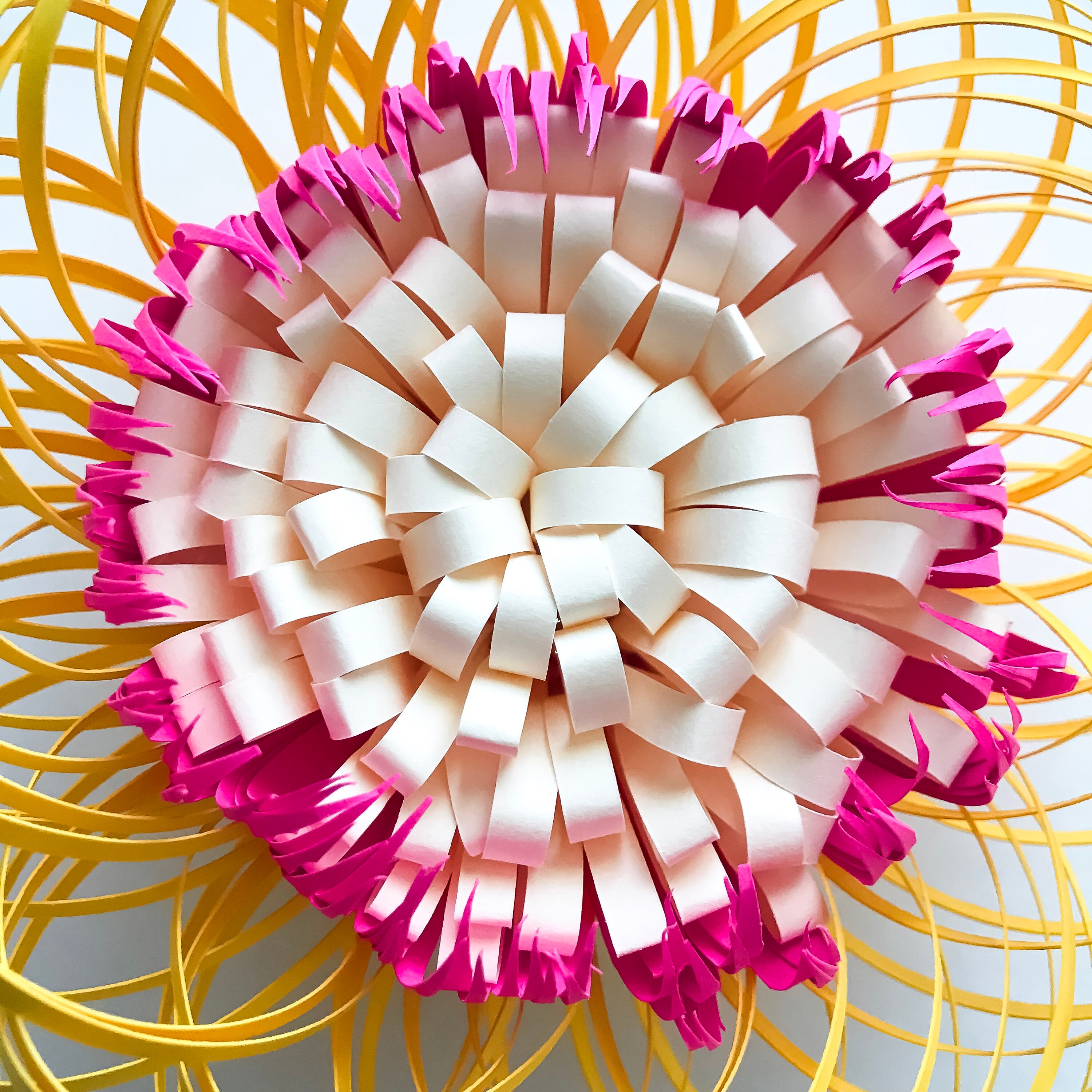 Download Paper Flowers -SVG/PNG Fluffy Center 2 / 3 Components: for ...