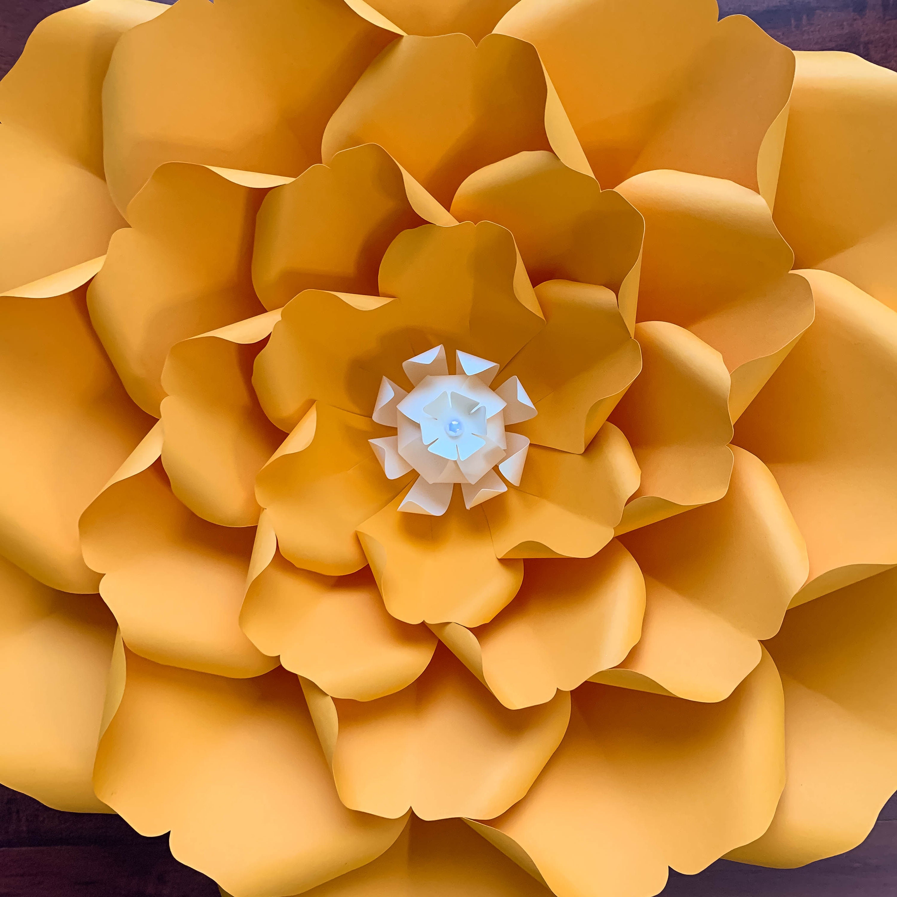 Free Free 135 Cricut Large Flower Svg SVG PNG EPS DXF File