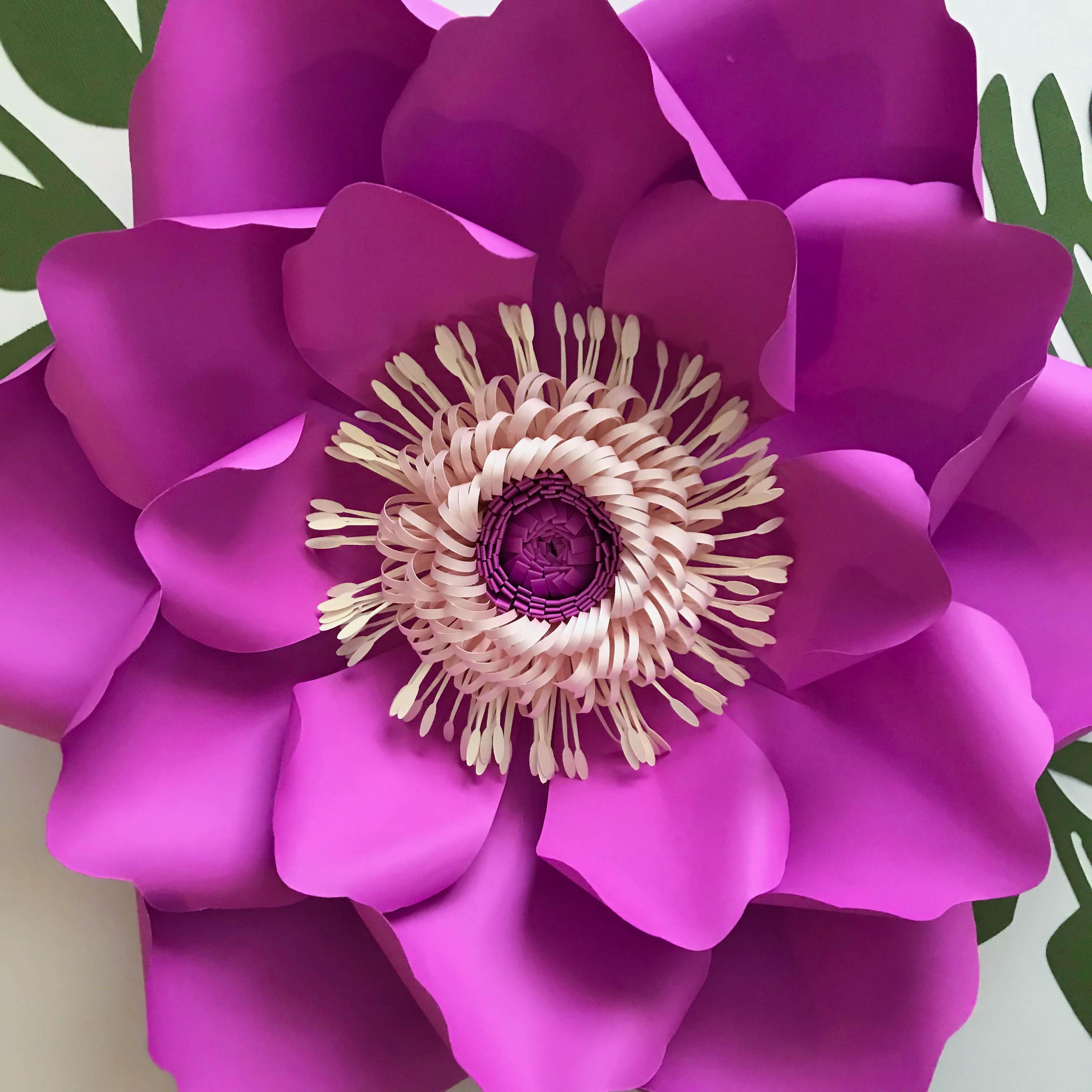 Free Free 102 5 Petal Flower Svg SVG PNG EPS DXF File