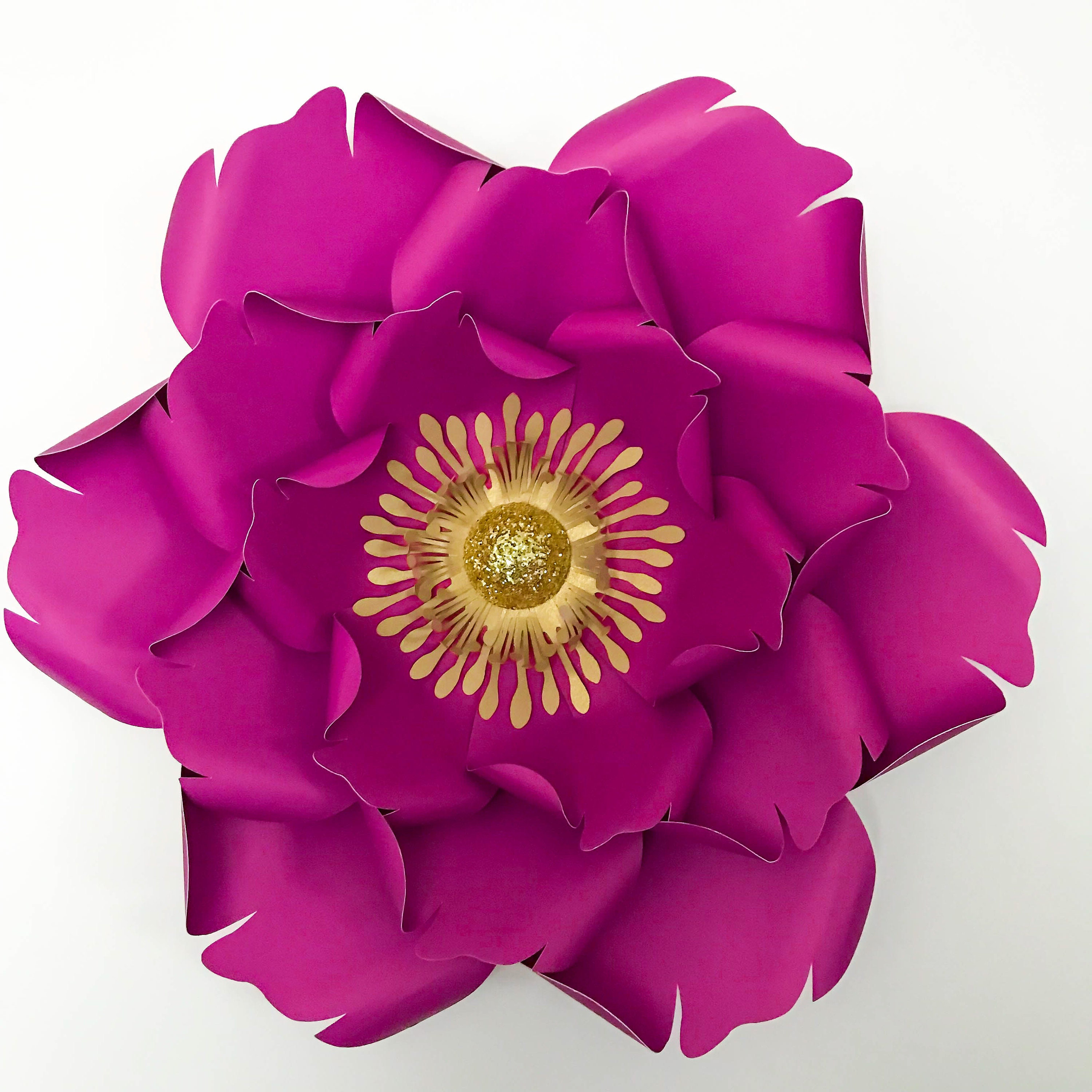 Download SVG PNG DXF Petal 8 Paper Flowers Template Cut File with ...