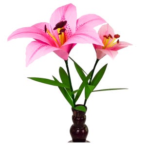 SVG PNG DXF StarGazer/Lillies sur Steam Make illimité petite 3" moyenne 5" & 7" grande fleur en papier