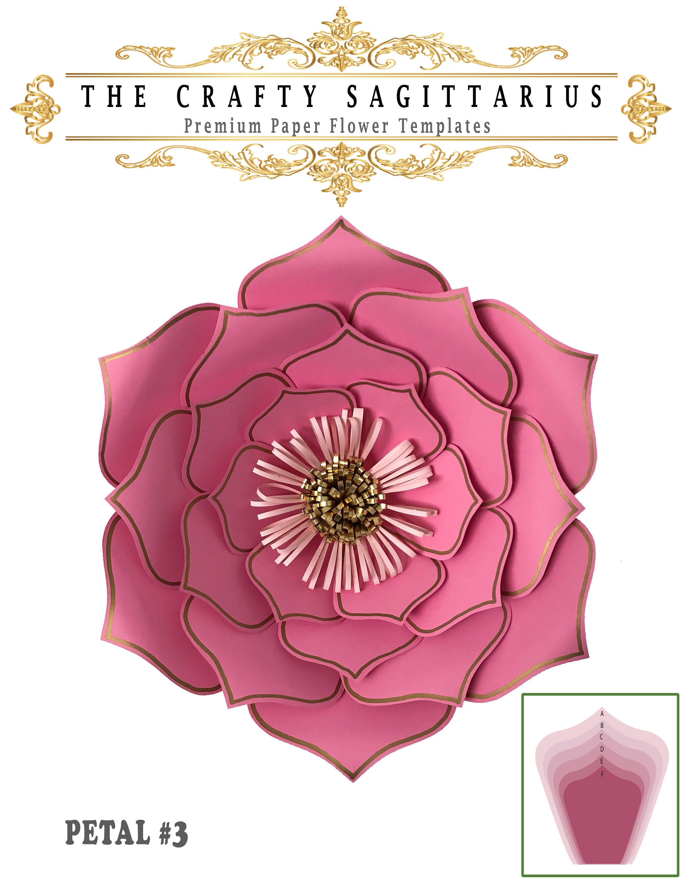 Download SVG DXF Petal 3 Paper Flowers Template Cricut Silhouette ...