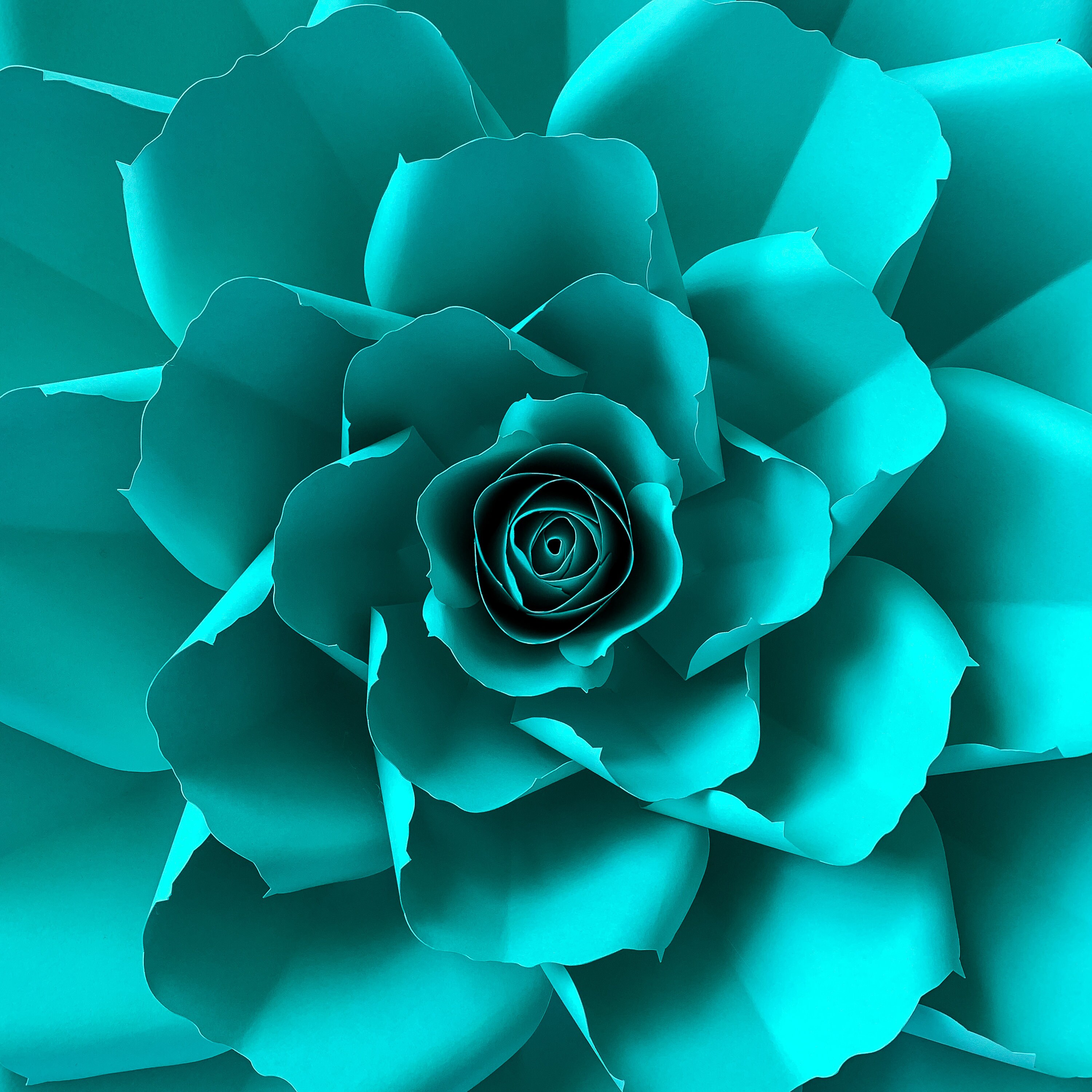 Free Free 294 Flower Svg Cricut SVG PNG EPS DXF File