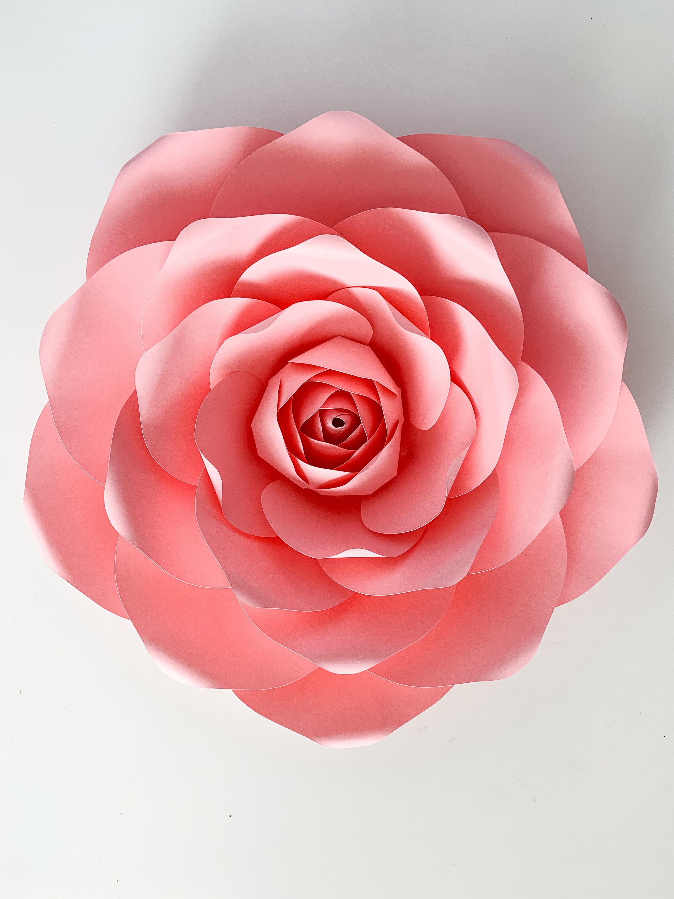 pdf petal 173 paper flowers template printable for trace