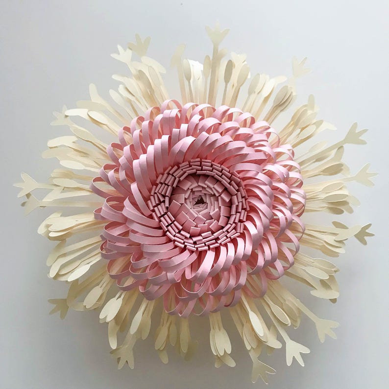 Puede incluir: Una gran escultura de flores de papel con un dise&ntilde;o en capas. El centro es una espiral de papel rosa, rodeada de anillos conc&eacute;ntricos de papel rosa. Los p&eacute;talos exteriores son de color crema y puntiagudos, creando un efecto de explosi&oacute;n estelar. La obra est&aacute; montada sobre un fondo blanco.