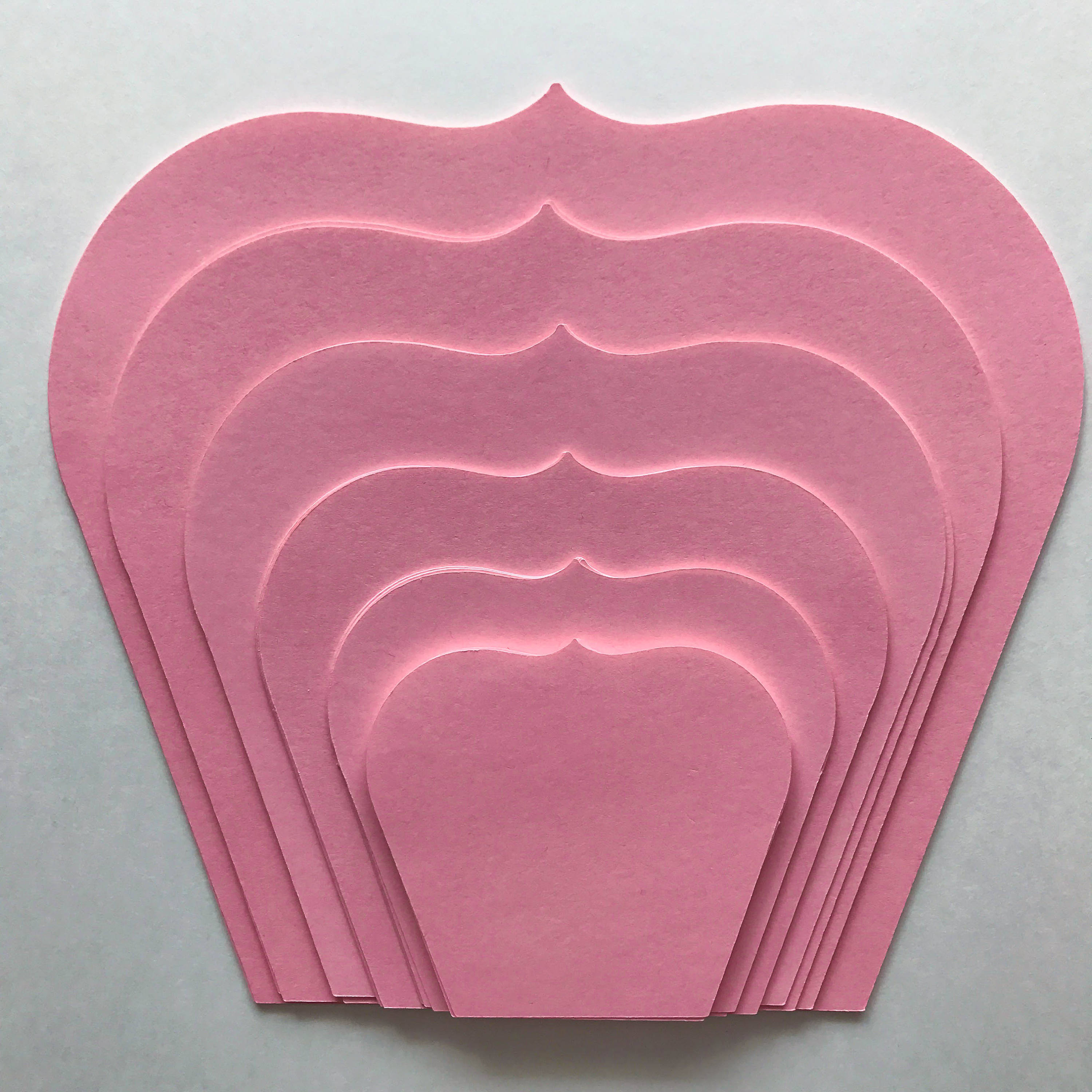 ROSE BUD paper flower template (one piece rose) and video tutorial –  PaperProTutorials