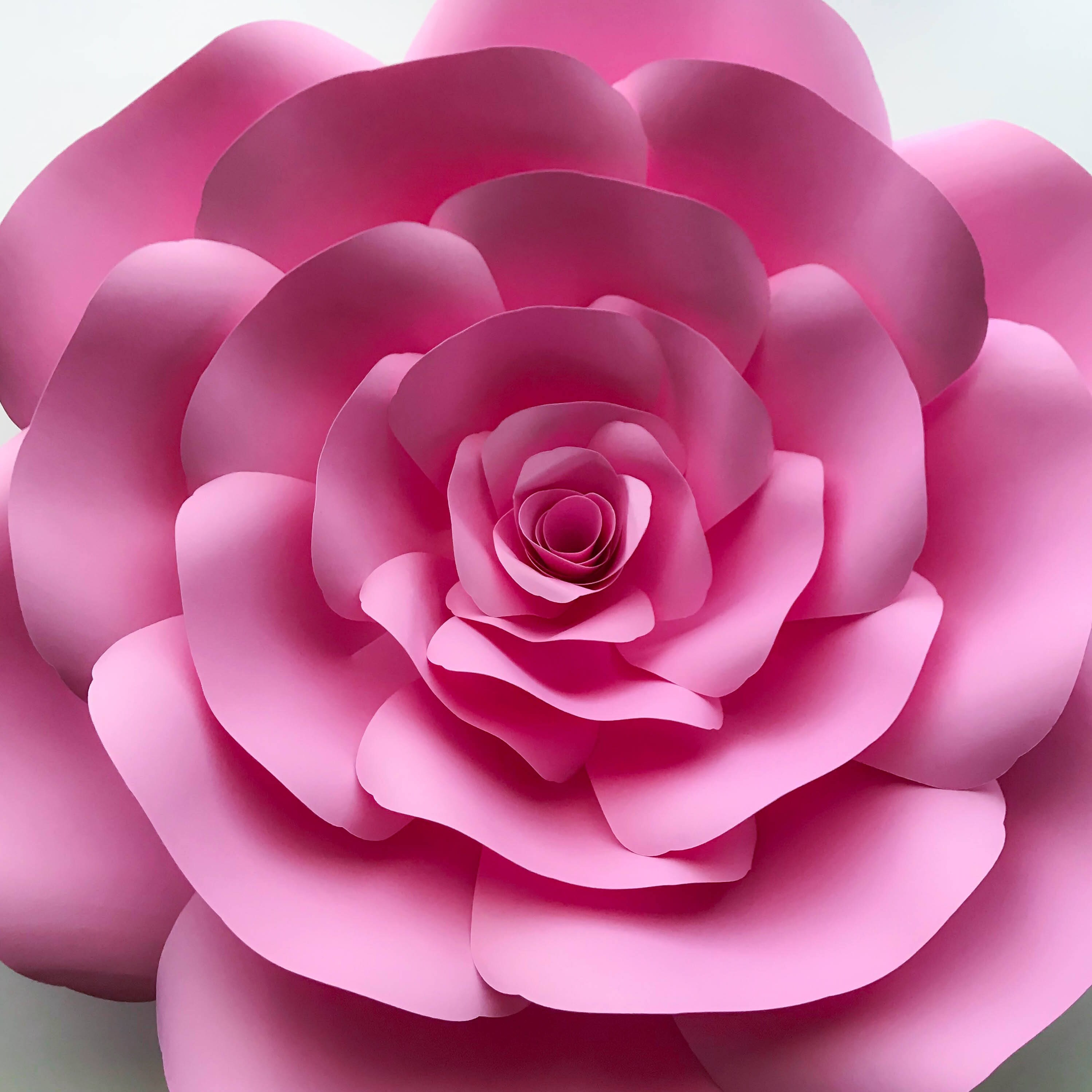 Download SVG PNG DXF Petal 11 Rose Cut Files for Cutting Machines ...