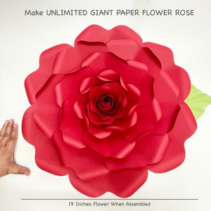 PDF Petal 39 Printable Giant Paper Flower Template | Trace n Cut Instant Download Digital Files | Flower Pattern and Stencil | Wall Decor