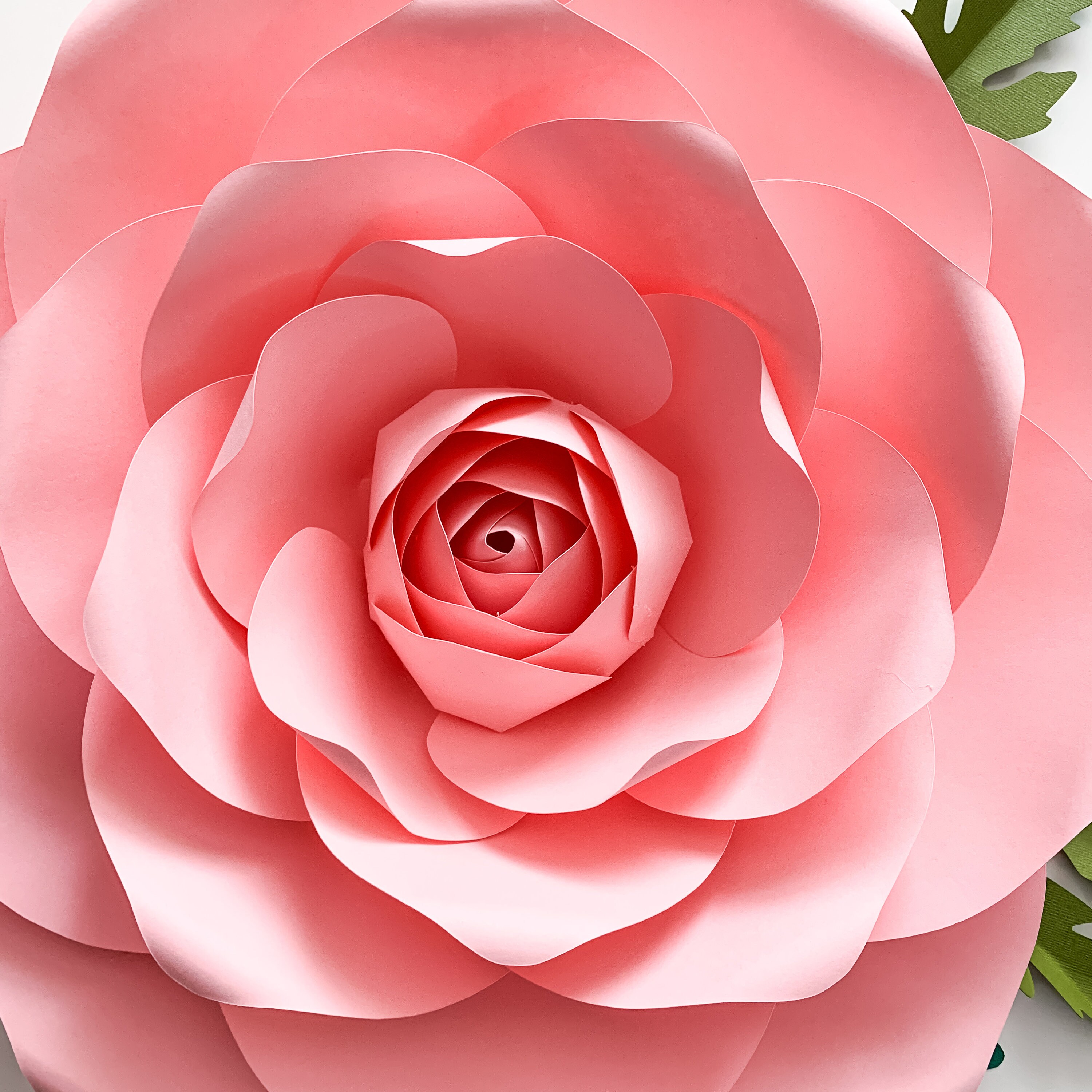 pdf petal 173 paper flowers template printable for trace