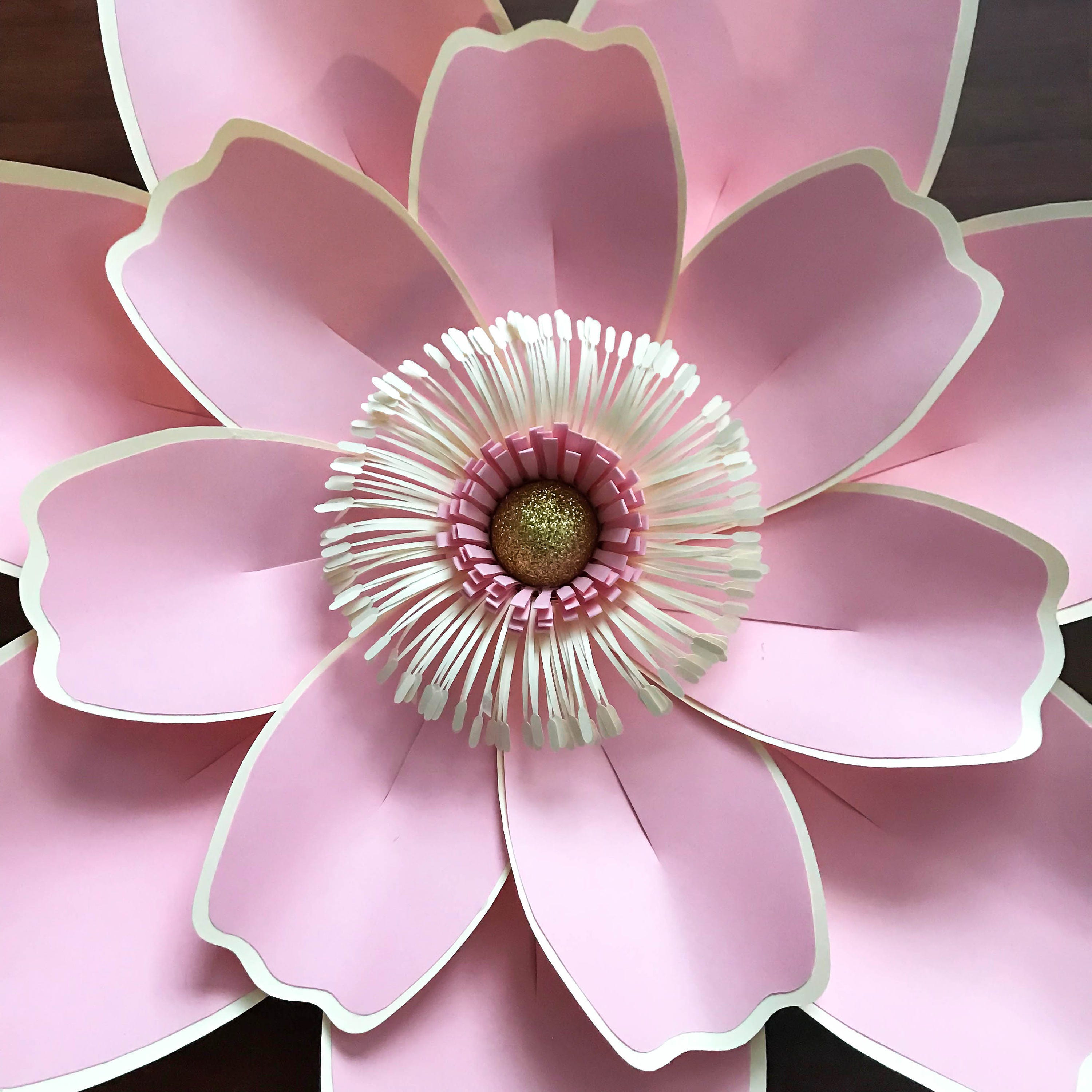 Free Free 281 8 Petal Flower Template Svg SVG PNG EPS DXF File