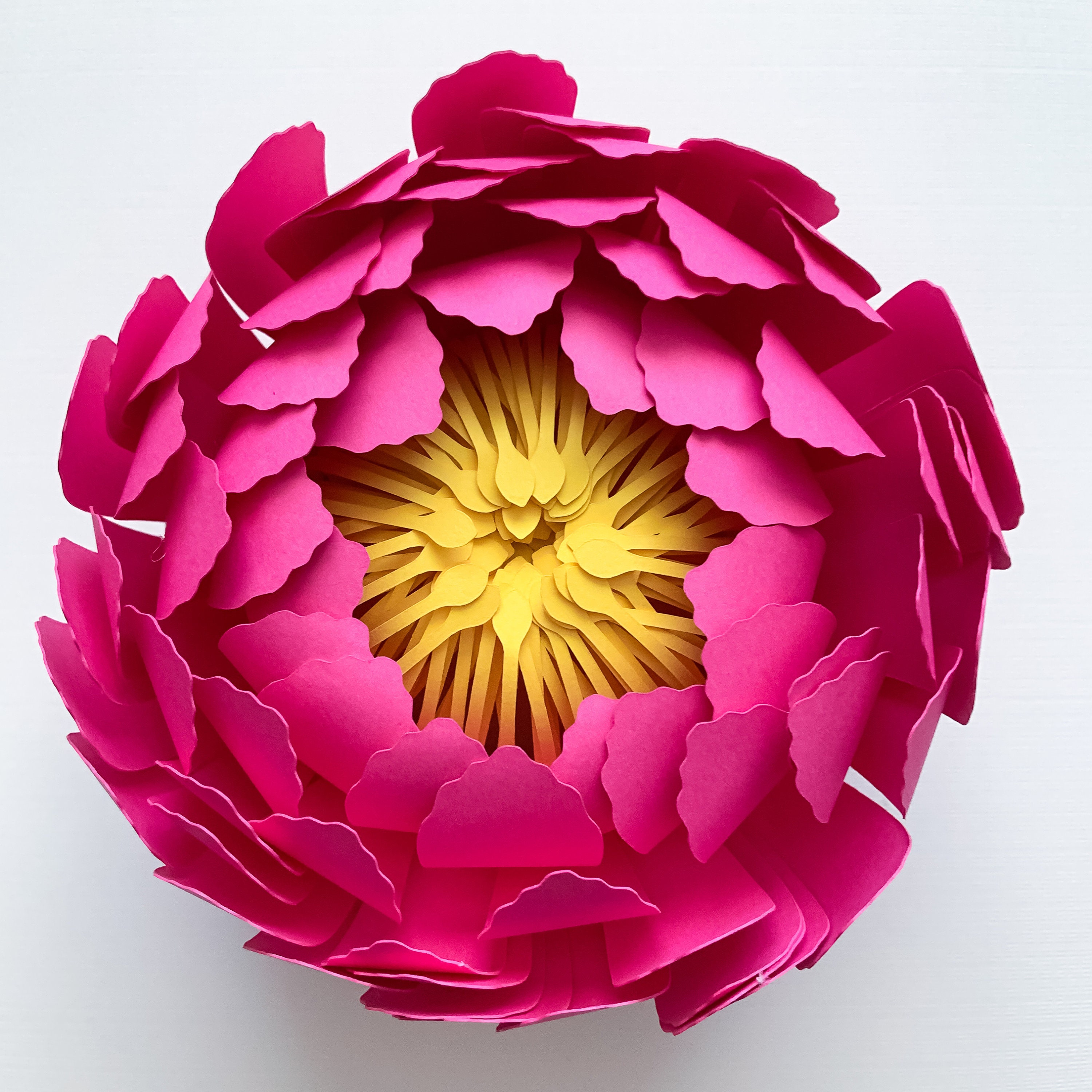 Peony Center Components fo Giant Peonies Paper Flowers ...