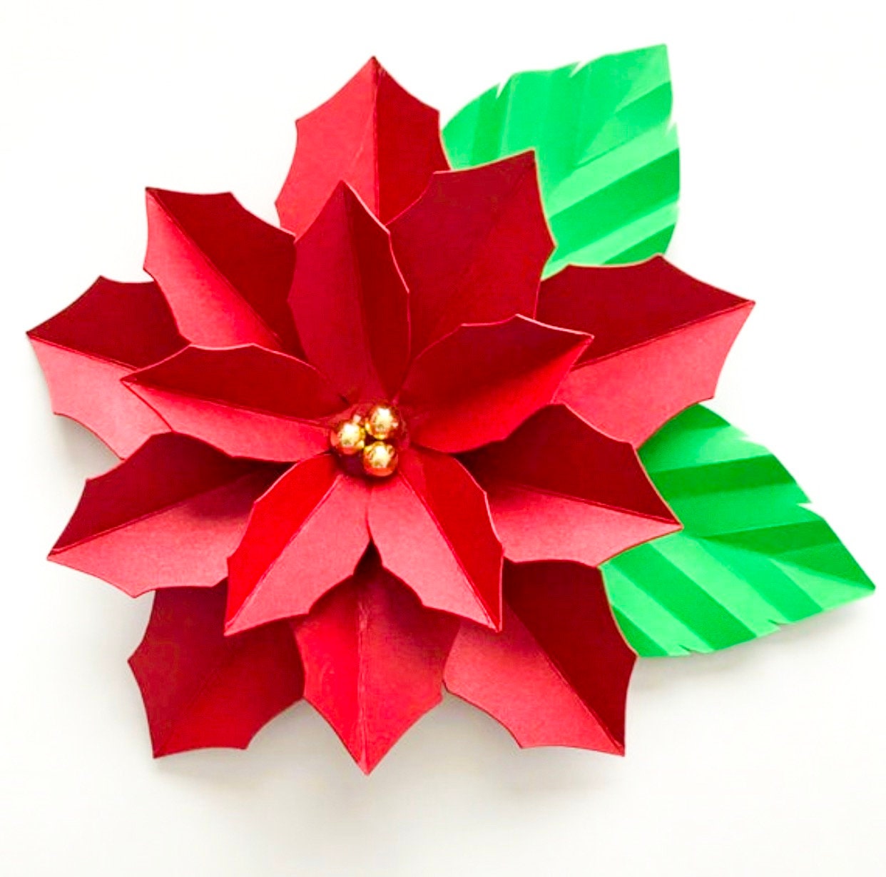 Download SVG PNG DXF 4 designs Poinsettia for Cricut and Cameo ...