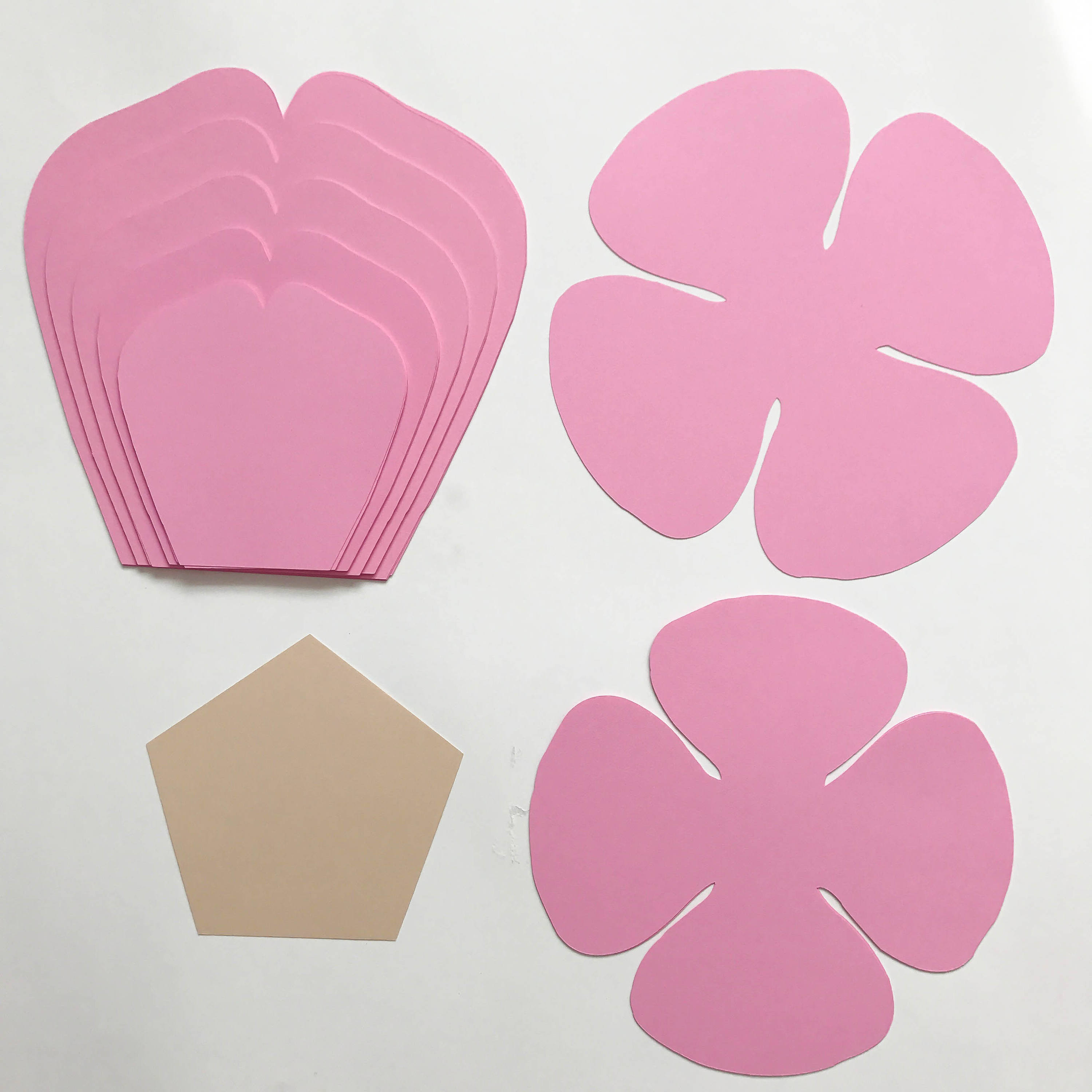 printable-pdf-paper-flower-templates