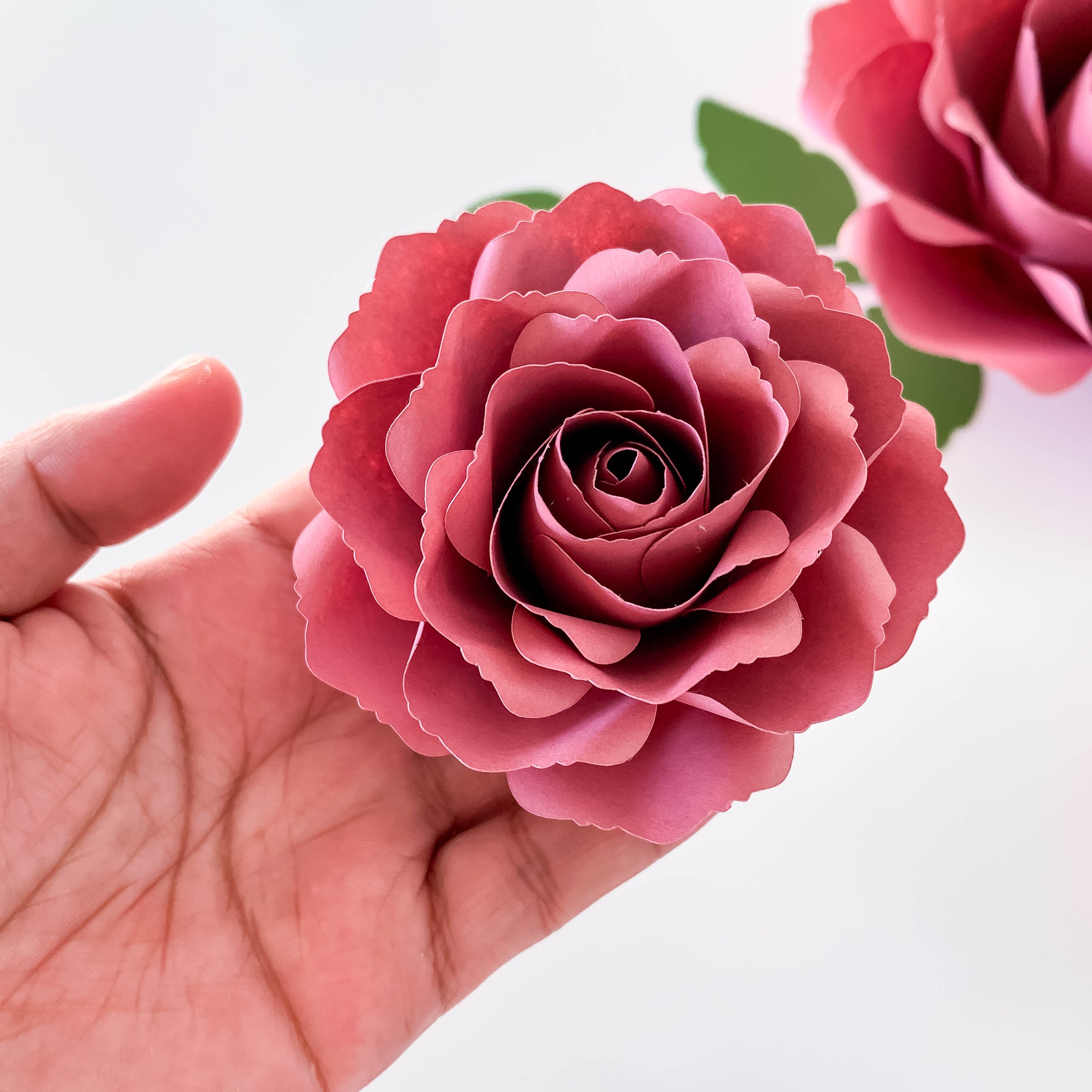 Free Free 326 Flower Svg Cricut Rose Cricut Flower Template SVG PNG EPS DXF File