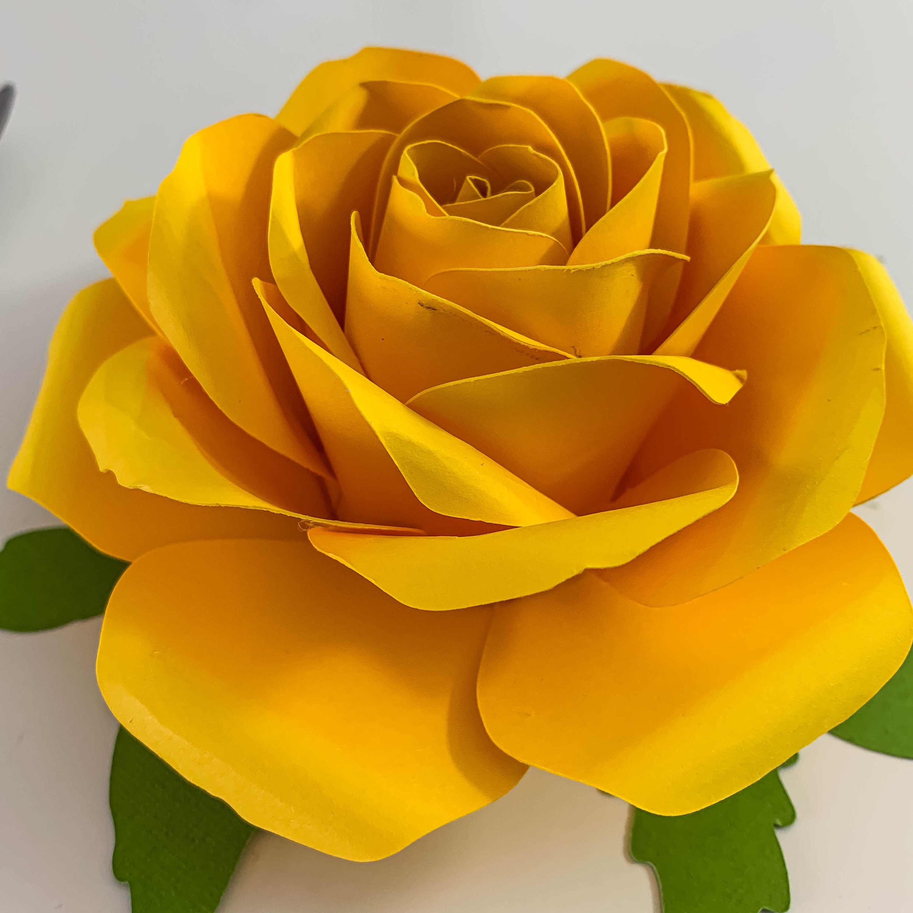 Free Free 228 Rose Cricut Flower Template Svg SVG PNG EPS DXF File
