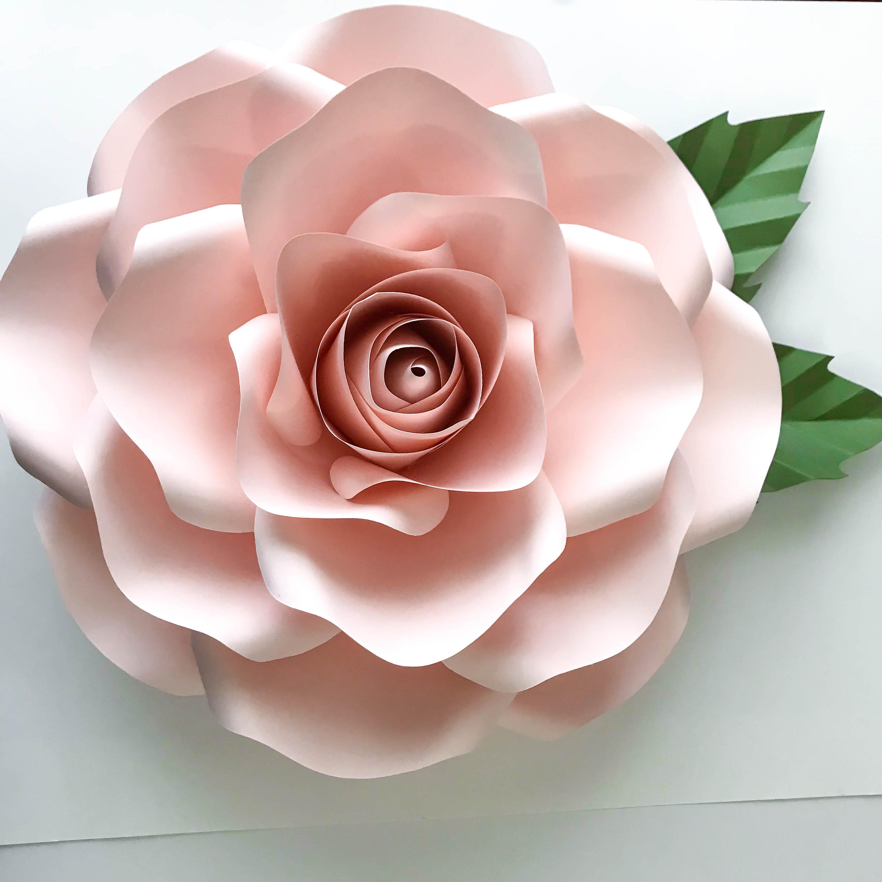 Paper Flowers SVG COMBO of Large and Medium Rose Paper Flower Template Bud included (1516 and