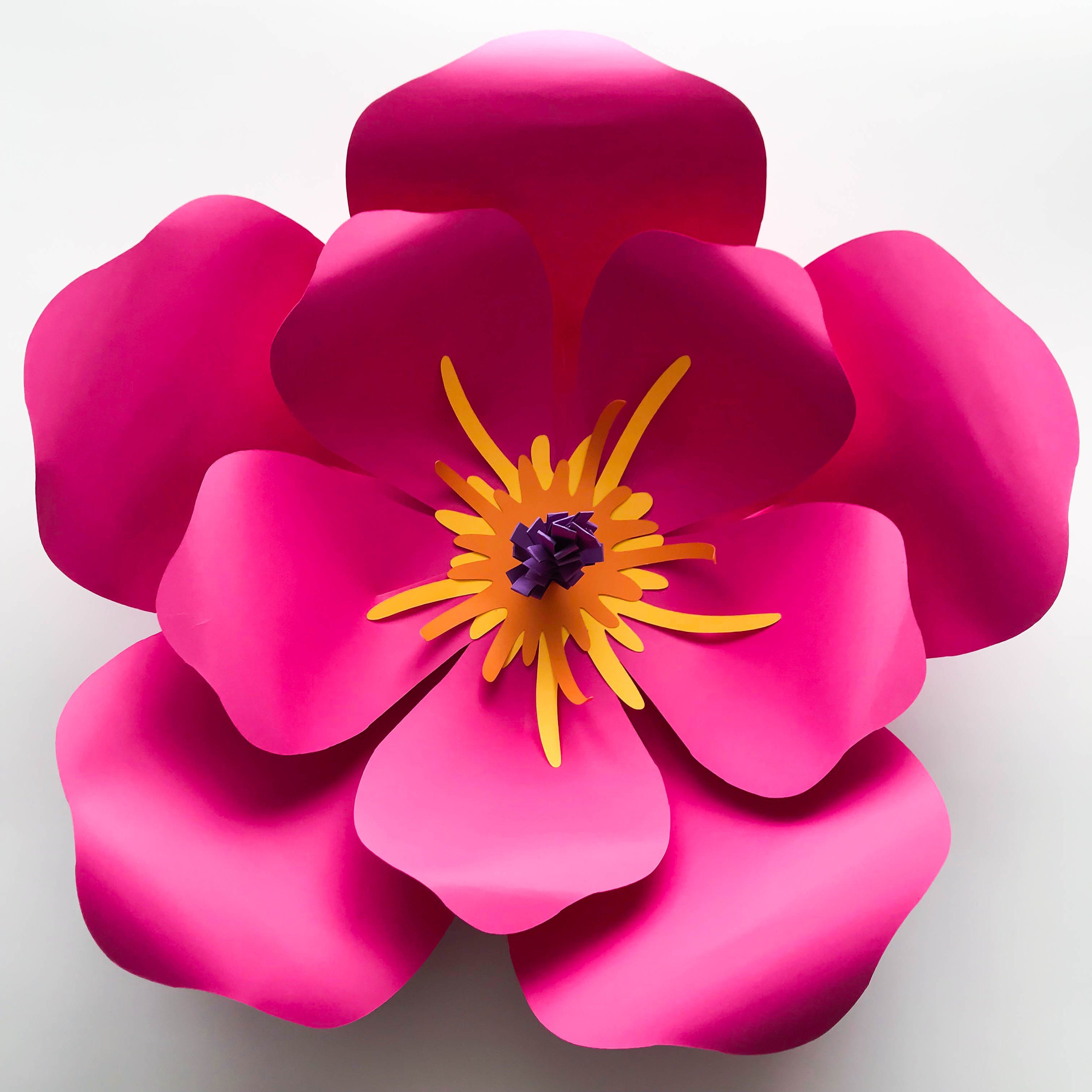 Free Free 348 Paper Flower Hibiscus Svg Free SVG PNG EPS DXF File