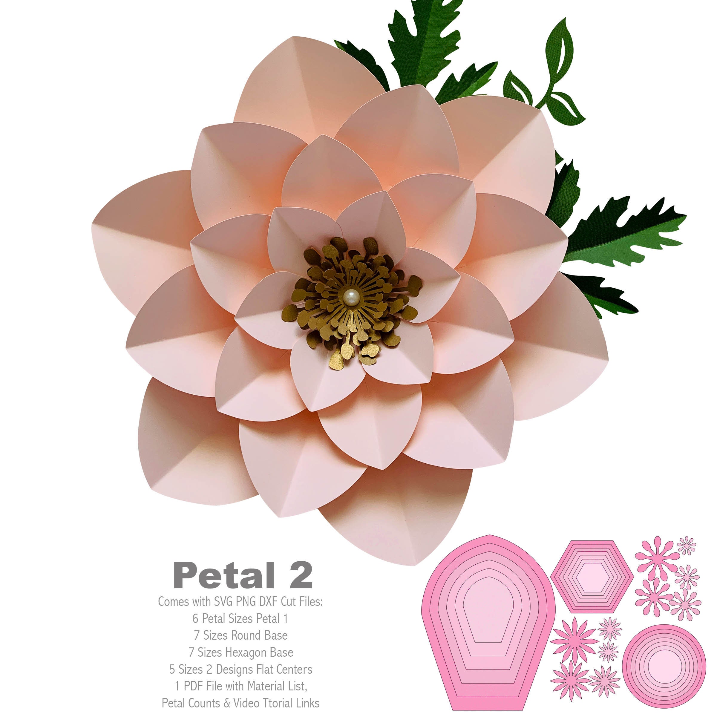 Download SVG PNG DXF Petal #2 Paper Flower Template with Base and Flat Center, Digital file for Cutting ...