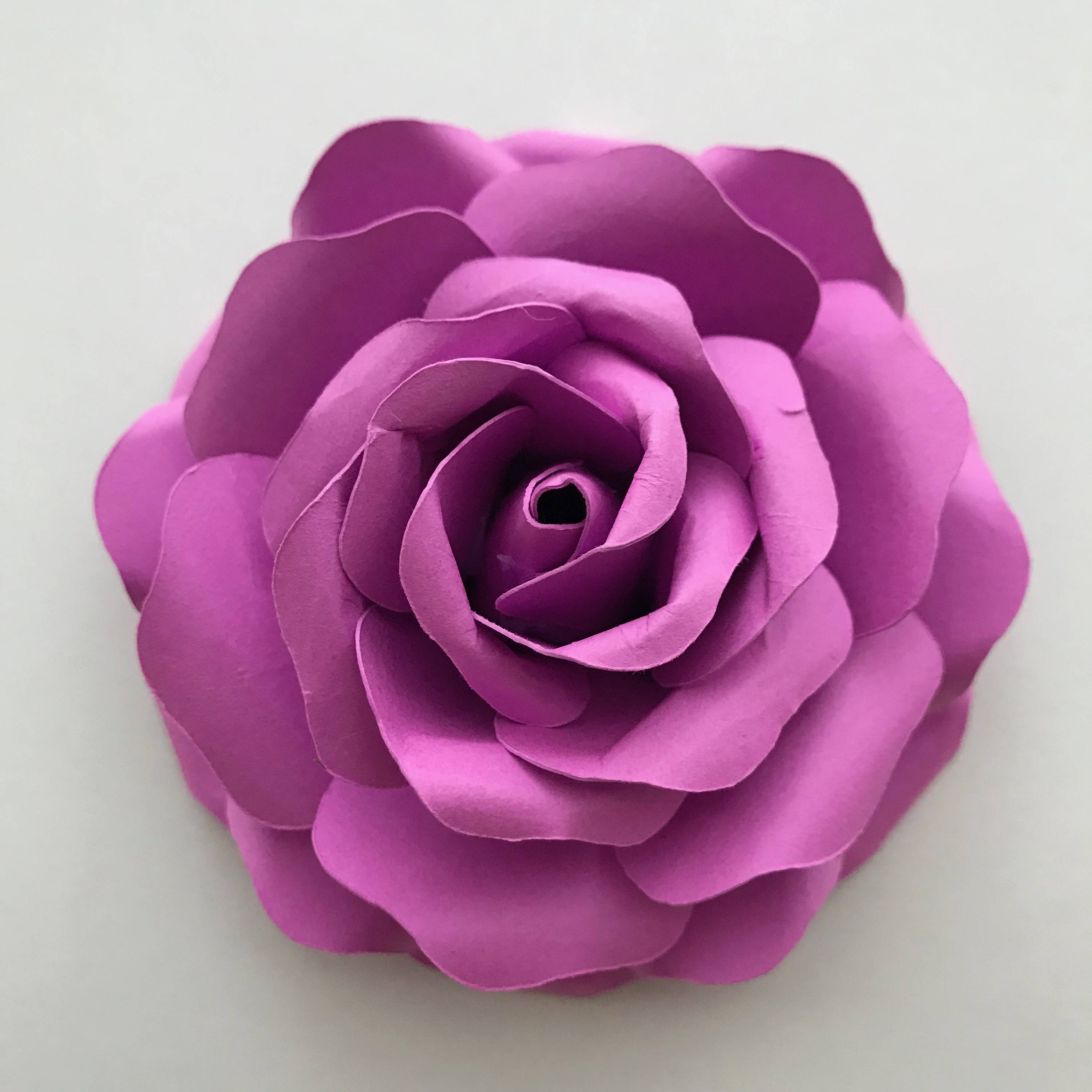 Free Free 243 5 Petal Flower Svg SVG PNG EPS DXF File